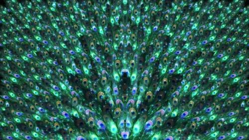 Videohive - Abstract Shining Peacock Feathers Background Loop - 38304677