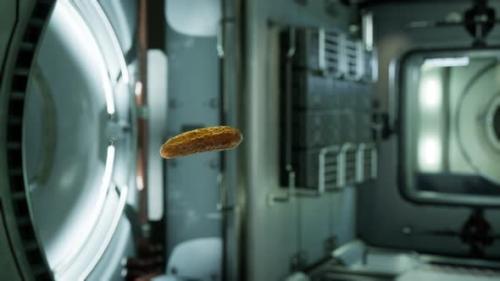 Videohive - Marinated Pickled Cucumber Floating in Internation Space Station - 38330254