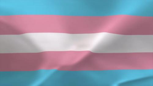 Videohive - Transgender Waving Flag Animation 4K Moving Wallpaper Background - 38419792