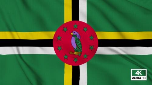 Videohive - Dominica Flag Waving Slowly Looped - 38458444