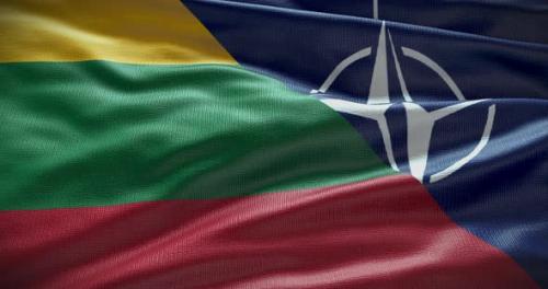Videohive - Lithuania and NATO waving flag animation loop - 38455143