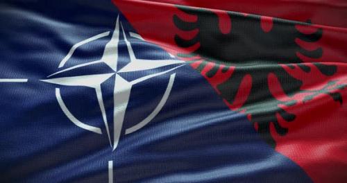 Videohive - Albania and NATO waving flag animation looped 4K - 38455159