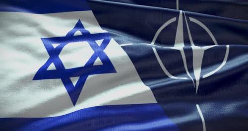 Videohive - Israel and NATO waving flag animation loop - 38455205
