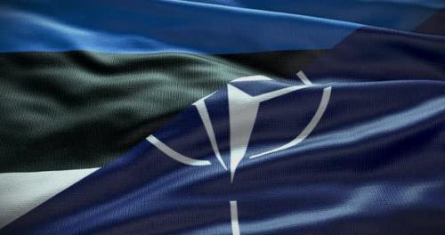 Videohive - Estonia and NATO waving flag graphic animation loop - 38455206