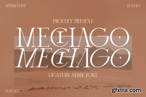 Mechago Stylish Serif Font