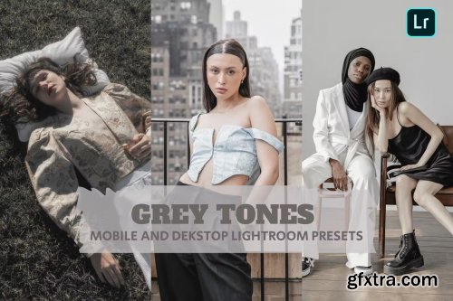 Grey Tones Lightroom Presets Dekstop and Mobile