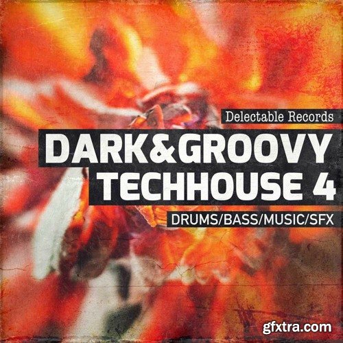 Delectable Records Dark And Groovy TechHouse 04 WAV