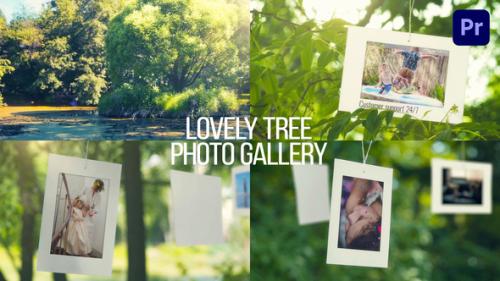 Videohive - Lovely Tree Photo Gallery - 38569897