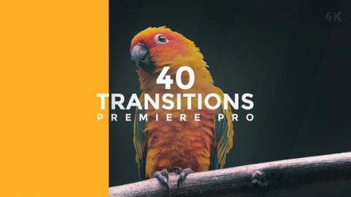 Videohive - Transitions Premiere Pro - 38682512