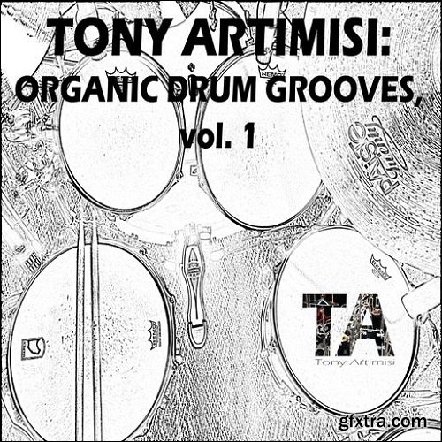 Tony Artimisi: Organic Drum Grooves Vol 1 WAV