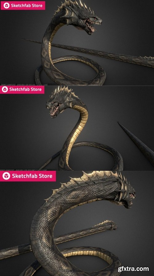 Snake Dragon 3D Model