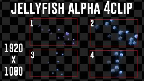 Videohive - Jelly Fish Alpha 4Clip - 38791010