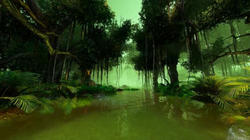Videohive - Journey through the tropical mangrove jungle - 38886261