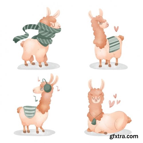 Adorable wild llama illustration