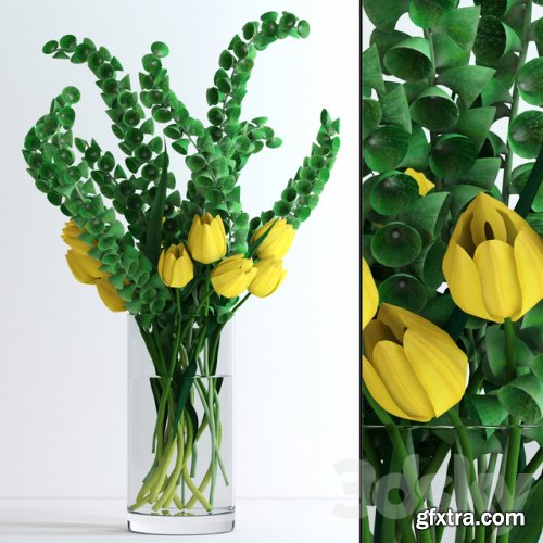 Yellow tulips and Moluccella