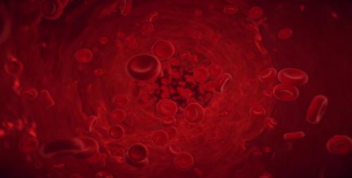 Videohive - Blood Cells - 20887608