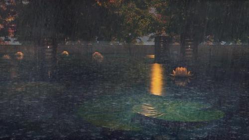 Videohive - 14 - Rain Falls At Night Into The Pool Full Of Wild Lotus Flowers In The Romantic Villa - 37649074