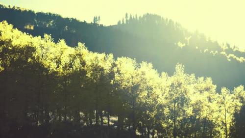 Videohive - Valley with Autumn Trees Among the Mountains Lit By the Sun at Sunset - 38950164