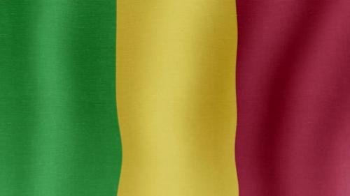 Videohive - The National Flag of Mali - 38995374