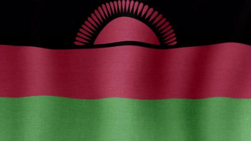 Videohive - The National Flag of Malawi - 38994636