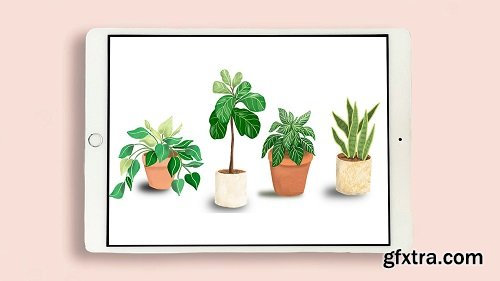 Illustrate House Plants in Procreate