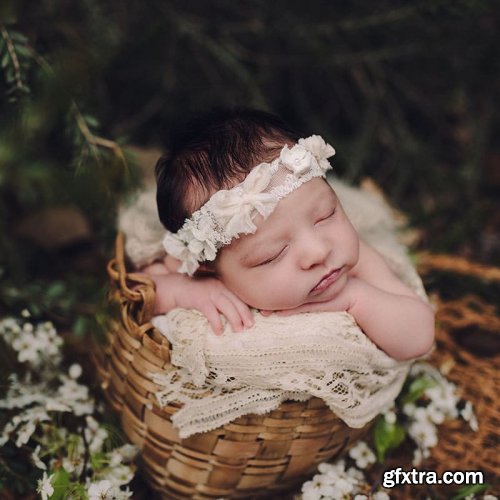 Twig & Olive Photography - Newborn - Bucket Pose