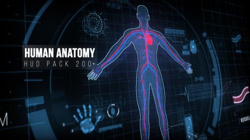 Videohive - Human Anatomy HUD Pack 200+ - 22128440
