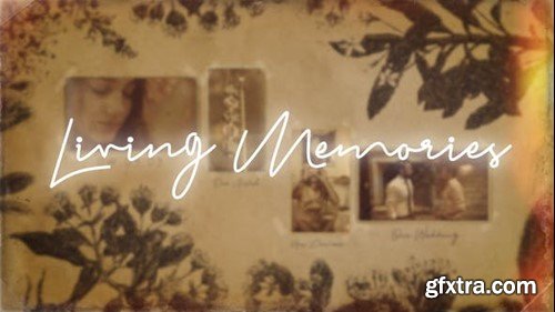 Videohive Living Memories 22423493