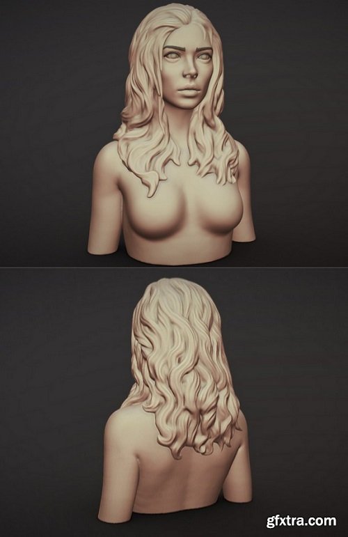 Female Bust With Hair 3D Model