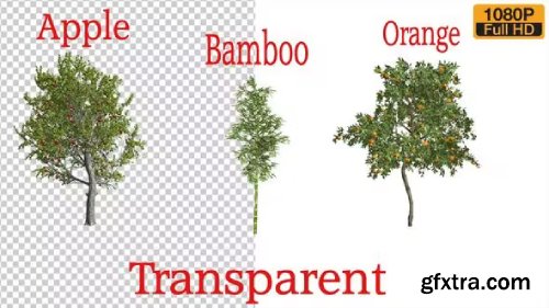 Videohive 3 Types Tree Animation Pack 24132907