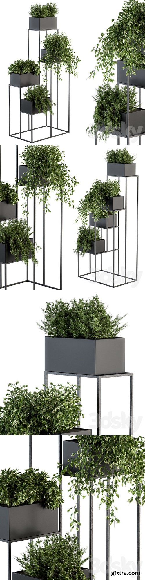 indoor Plant Set 100 - Black stand