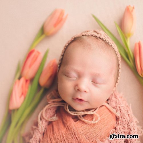 Twig & Olive Photography - Newborn – Swaddle Wrap to Bucket Pose