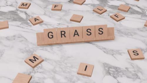 Videohive - Grass word on scrabble - 39602482
