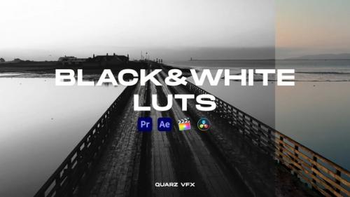 Videohive - Black&White LUTs Color Presets - 39611819