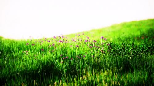Videohive - Green Meadow Under Blue Sky - 39708031