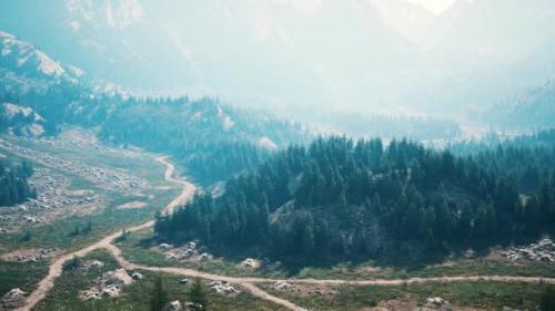 Videohive - Aerial View of Green Coniferous Forest in the Mountains - 39709994