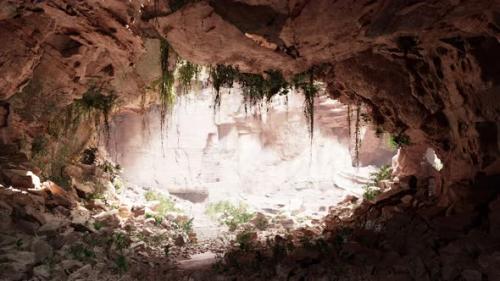 Videohive - Inside a Limestone Cave with Plants and Sun Shine - 39710113