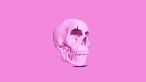 Videohive - Pink Skull - 39726186