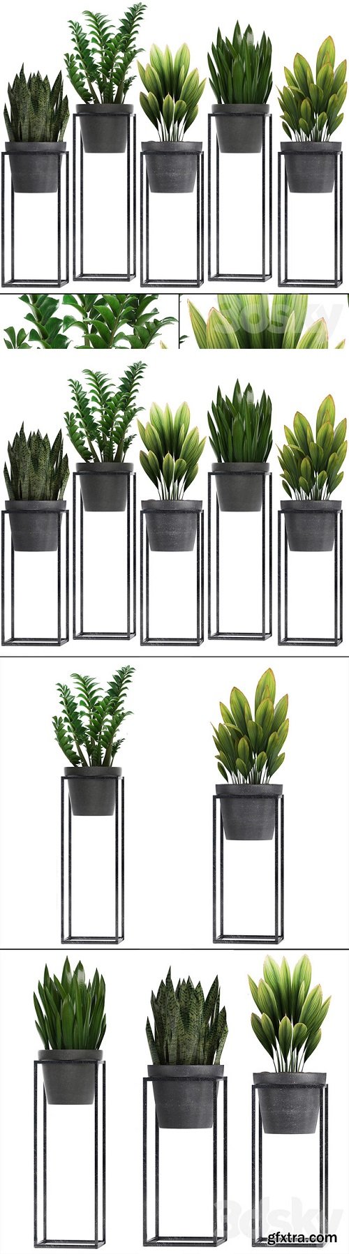 Plant collection 240. Shelf with flowers, Zamioculcas, sansevieria, indoor plants, pot, stand