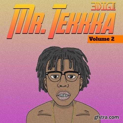 Innovative Samples Mr. Tekkka Volume 2 WAV-FANTASTiC