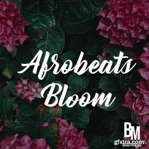 HOOKSHOW Afrobeats Bloom WAV-FANTASTiC