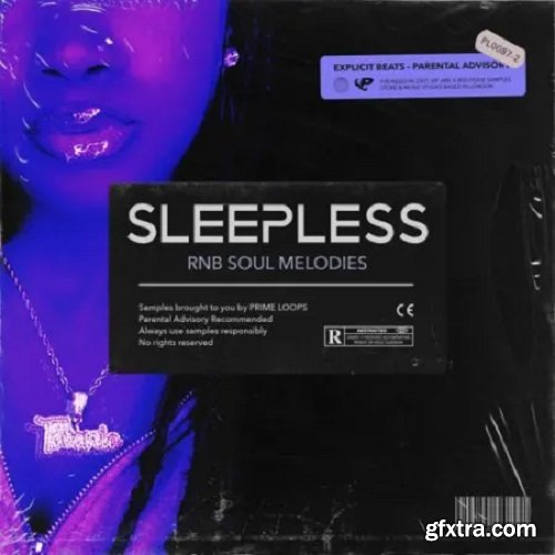 Prime Loops SLEEPLESS RnB Soul Melodies WAV-FANTASTiC