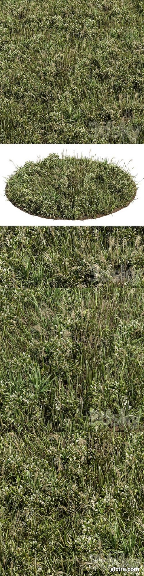 Wild Grass Green – Grass Set 01
