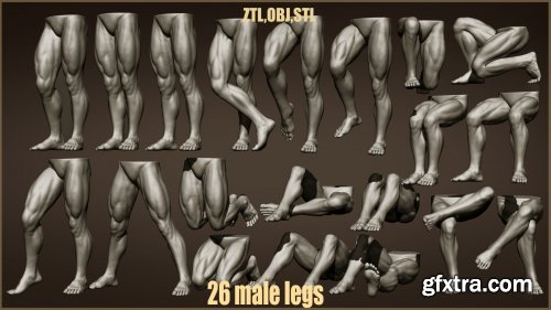 26 Male leg poses 3D models ZTL+OBJ+STL