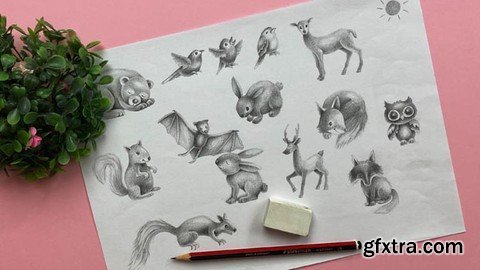 Draw in 60 Seconds: Woodland Animals