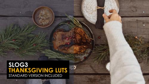 Videohive - Slog3 Thanksgiving And Standard LUTs for Final Cut - 39917154