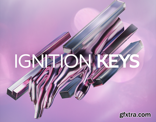 Native Instruments Ignition Keys KONTAKT-ARCADiA