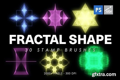 30 Fractal Shape Stamp Brushes QZRD475