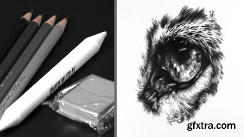 Develop More Realism in Your Drawings: Glassy Eye in Graphite Pencil
