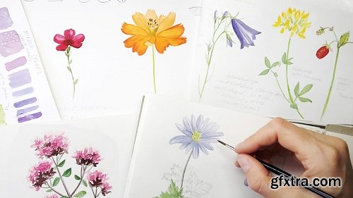 Wildflowers in Watercolor and Ink: Introduction to Botanical Sketching